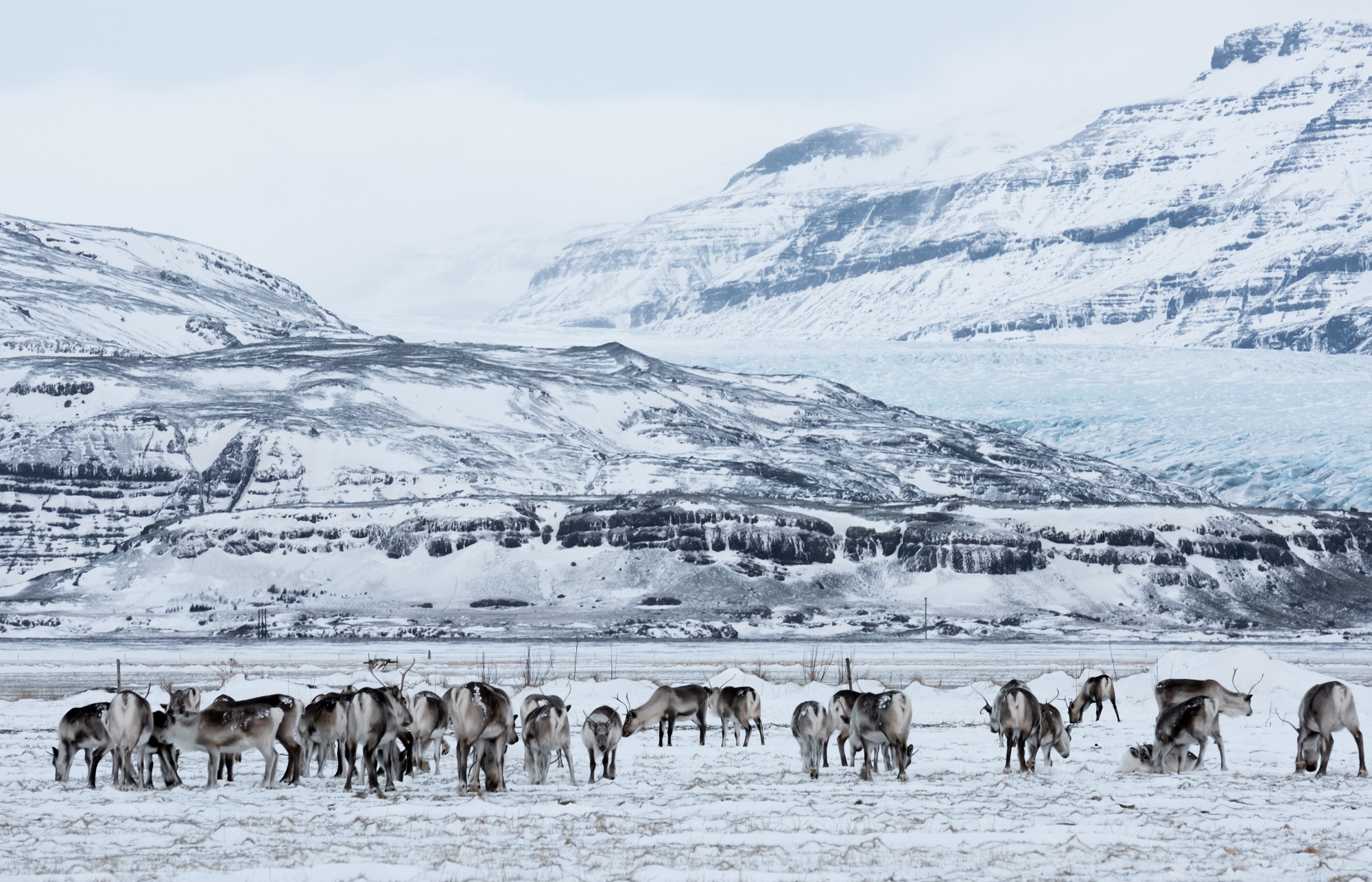 Arktiske innbyggere søker måter å bevare sine nordlige tradisjoner på