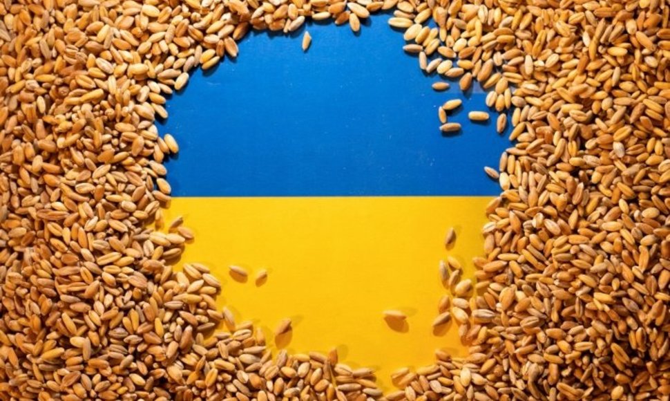Sąsiedzi Ukrainy chcą przedłużenia zakazu importu zbóż do końca roku