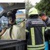 Gimnazijos šiukšlių konteineryje – maiše užrištas ir kančioms pasmerktas gyvas šuo