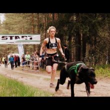 Surengtos pirmos Lietuvoje bėgimo su šunimis varžybos 