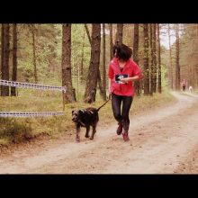 Surengtos pirmos Lietuvoje bėgimo su šunimis varžybos 