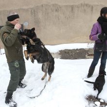 Sniego dienos pramogos į Pažaislį sukvietė būrį kauniečių