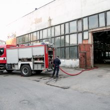 Ugniagesiai skubėjo gesinti užsiliepsnojusio įmonės stogo