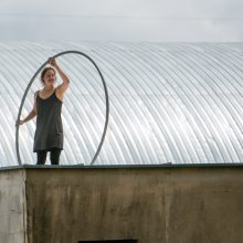 Pasirodymas 66 balkonams: išrinktuosius linksmino rinktiniai cirko artistai