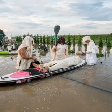 Vainatrakio kapinėse apsilankęs kaunietis: situacija čia siaubinga