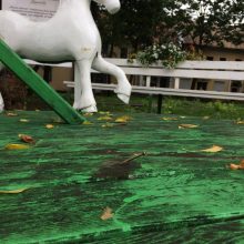 „Gerų darbų karuselė“ ir vėl nuniokota, šį kartą pavogtas arkliukas