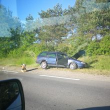 Alytaus rajone – girto vairuotojo sukelta BMW ir „Volkswagen“ avarija