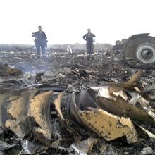 Nyderlandų teisėjai: MH17 lainerį beveik neabejotinai numušė raketa 