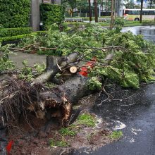 Taivane siaučiant taifūnui „Matmo“ sužeisti devyni žmonės
