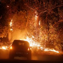 Dėl miškų gaisrų Čilėje paskelbta katastrofiška padėtis