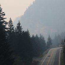Kanadoje dėl miškų gaisrų namus paliko beveik 40 tūkst. žmonių