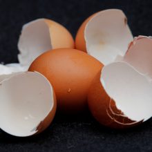 Skandalas dėl insekticido: naikinami milijonai olandiškų kiaušinių