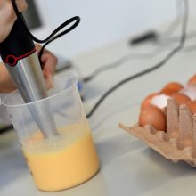 Vokietiją pasiekė per 28 mln. užterštų kiaušinių