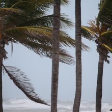 Uraganui „Irma“ pasiekus Floridą, 170 tūkst. būstų nėra elektros
