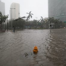 Nusilpęs uraganas „Irma“ Floridoje padarė didžiulių nuostolių