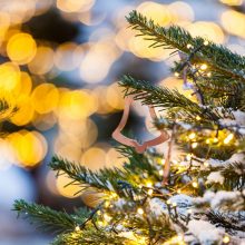 Vilnius laukia Kalėdų stebuklo – po dviejų savaičių įžiebs miesto eglę