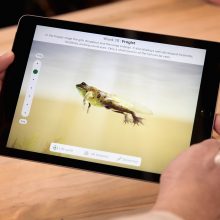 „Apple“ grįžta į mokyklą su naujuoju „iPad“ ir programėlėmis