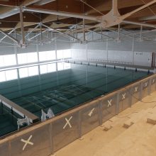Naujam baseinui Klaipėdoje – baigiamieji štrichai
