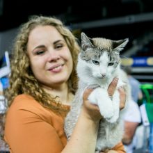 Kačių paroda „Baltic Winner CAT show“