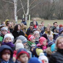 „Verdenės“ mokyklos mokinių šokis