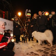 Šviesų festivalį vainikavo Šviečiančių augintinių paradas