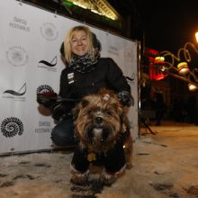 Šviesų festivalį vainikavo Šviečiančių augintinių paradas