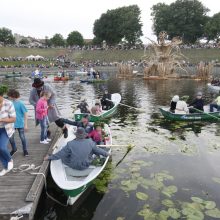 Joninių naktį išsiskleidė ugnies papartis