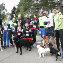 Klaipėdoje miško taku bėgo būrys šunų augintojų ir jų gyvūnai