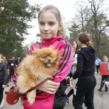 Klaipėdoje miško taku bėgo būrys šunų augintojų ir jų gyvūnai