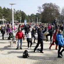 Palangoje – orkestrų muzika, žygis ir narystės NATO minėjimas