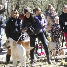 Šuns diena Klaipėdoje paminėta bėgimu su augintiniais