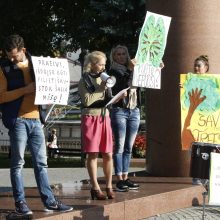 Klaipėdos žalieji dėl medžių kirtimo tikisi susitikti su S. Skverneliu
