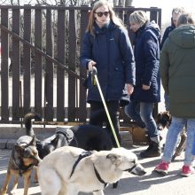 Klaipėdos „Linksmosios pėdutės“ švenčia gimtadienį