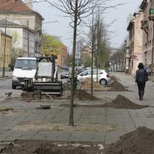 S. Šimkaus gatvėje pradėjo sodinti medžius