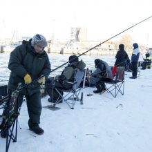 Stintų žvejyba uostamiestyje – „ant bangos“