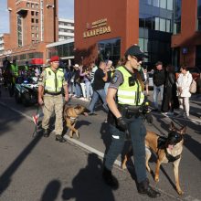 Policijos pareigūnams Jūros šventėje darbo netrūko