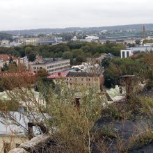 Į Kauno panoramą – nuo monstro stogo