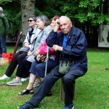 Premjerė apdovanota D. Grinkevičiūtės medaliu