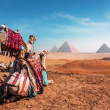 Kelionė į Egiptą su vaikais vasarą: tinklaraščio „Cukrinis avinėlis“ autorė dalijasi patarimais
