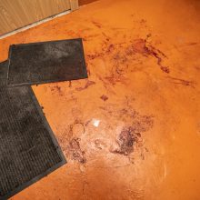 Kruvina orgija: smėlio dėžėje rastas žmogžudyste įtariamo ukrainiečio kūnas