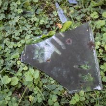 Kruvina orgija: smėlio dėžėje rastas žmogžudyste įtariamo ukrainiečio kūnas