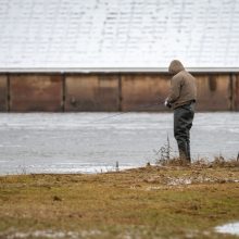 Kauniečiai užgulė Kleboniškio miško kalnus