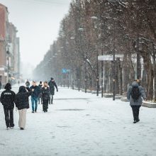 Už lango – žiemiški vaizdai