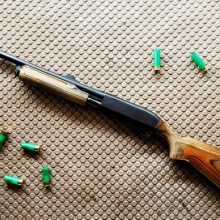 Panevėžio rajono gyventojo namuose aplinkosaugininkai rado medžioklinį ginklą ir šovinių
