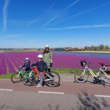 Rekordas: Olandijoje, pučiant stipriam vėjui, Tarasoniai su vaikais apvažiavo tulpių laukus. Mykolas ten pagerino savo rekordą – įveikė 24 kilometrus! 