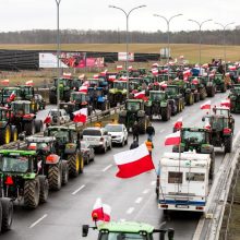 Patarėjas: A. Duda pritaria Lenkijos, Ukrainos ir ES deryboms ginčui dėl grūdų spręsti