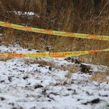 Šiaulių rajone rasta aviacinė bomba