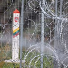 VSAT: pasienyje su Baltarusija apgręžti 29 migrantai
