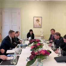 G. Landsbergis: Vokietija tampa europiniu Lietuvos saugumo strateginiu ramsčiu