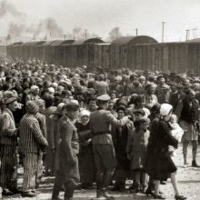 Tyrimas: dar gyvi maždaug 245 tūkst. holokaustą išgyvenusių žmonių